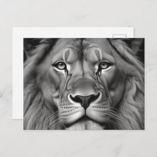 Lion Briefkaart (Voorkant / Achterkant)