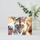 Lion Briefkaart (Staand voorkant)