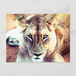 Lion Briefkaart