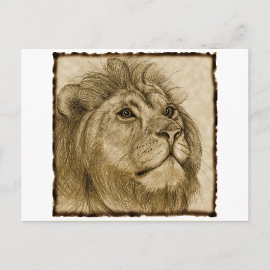 LION BRIEFKAART (Voorkant)
