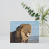 Lion Briefkaart (Staand voorkant)