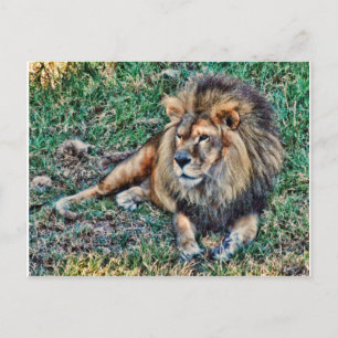 Lion Briefkaart