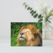 Lion Briefkaart (Staand voorkant)