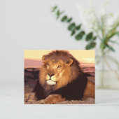 Lion Briefkaart (Staand voorkant)