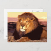 Lion Briefkaart (Voorkant / Achterkant)