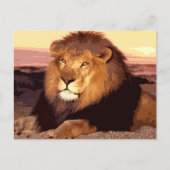 Lion Briefkaart (Voorkant)