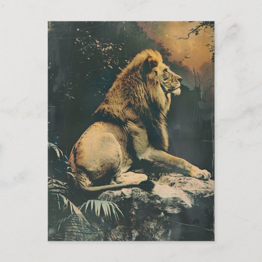 Lion  briefkaart (Voorkant)