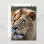 Lion Briefkaart (Voorkant / Achterkant)