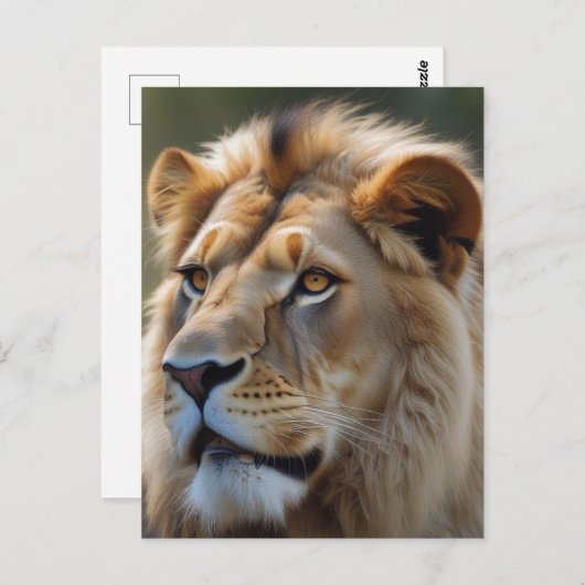 Lion Briefkaart (Voorkant / Achterkant)