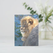 Lion Briefkaart (Staand voorkant)