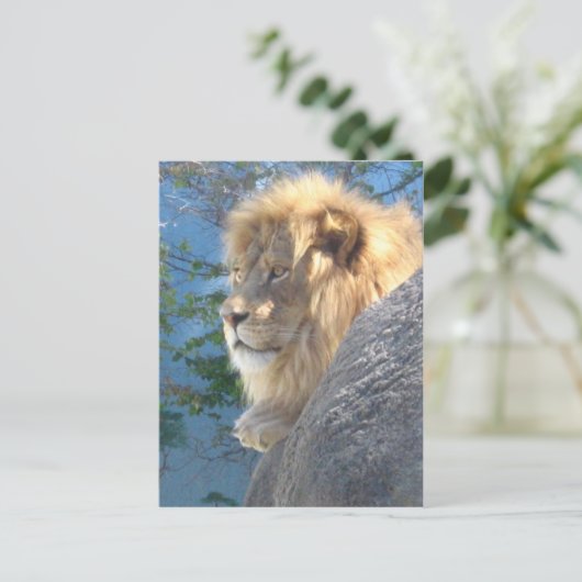 Lion Briefkaart (Staand voorkant)