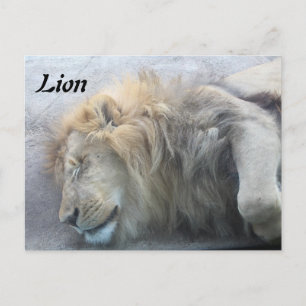 Lion Briefkaart