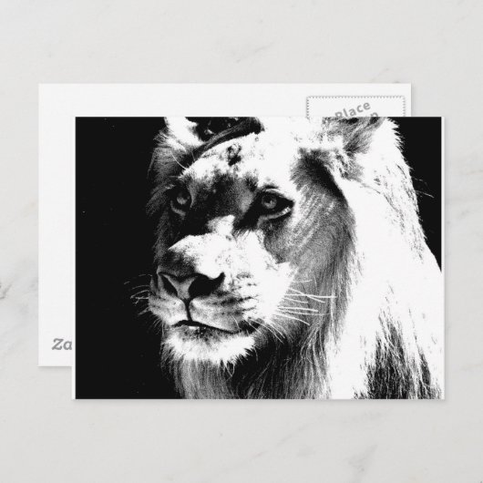 Lion Briefkaart (Voorkant / Achterkant)