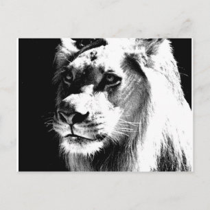 Lion Briefkaart