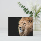 Lion Briefkaart (Staand voorkant)