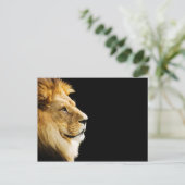Lion Briefkaart (Staand voorkant)