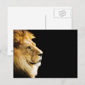 Lion Briefkaart (Voorkant / Achterkant)