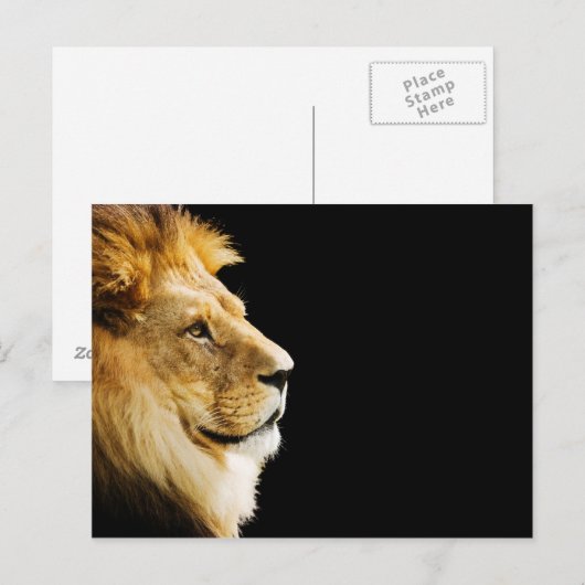 Lion Briefkaart (Voorkant / Achterkant)