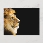 Lion Briefkaart (Voorkant)