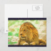 Lion briefkaart (Voorkant / Achterkant)