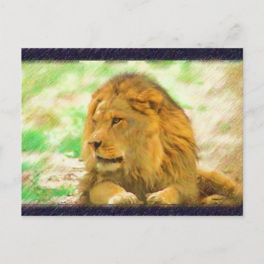 Lion briefkaart (Voorkant)