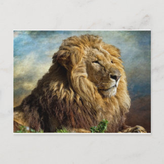 Lion Briefkaart
