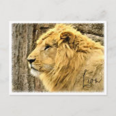 Lion Briefkaart (Voorkant)