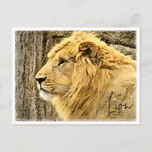 Lion Briefkaart (Voorkant)