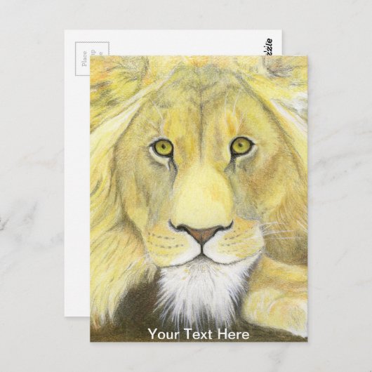 Lion Briefkaart (Voorkant / Achterkant)