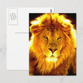 Lion Briefkaart (Voorkant / Achterkant)