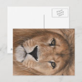 Lion Briefkaart (Voorkant / Achterkant)
