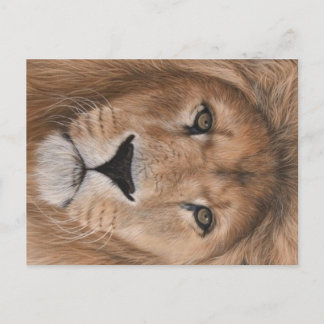 Lion Briefkaart
