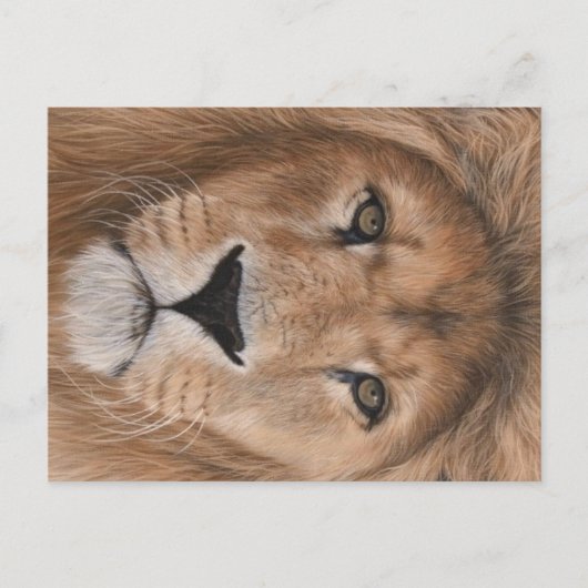 Lion Briefkaart (Voorkant)
