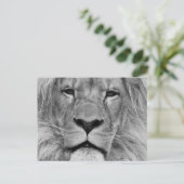 Lion Briefkaart (Staand voorkant)
