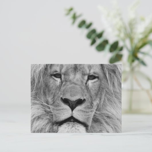 Lion Briefkaart (Staand voorkant)