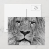 Lion Briefkaart (Voorkant / Achterkant)