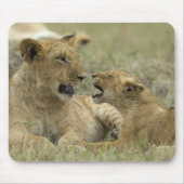 Lion Brothers Muismat (Voorkant)