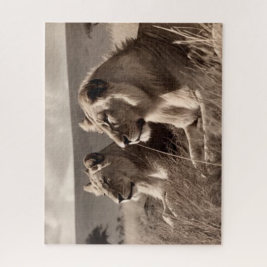 Lion Brothers rusten in de zon - zwart en wit Legpuzzel (Verticaal)