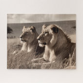 Lion Brothers rusten in de zon - zwart en wit Legpuzzel (Horizontaal)
