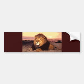 Lion Bumpersticker (Voorkant)