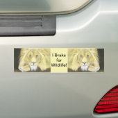 Lion Bumpersticker (Op auto)
