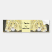 Lion Bumpersticker (Voorkant)
