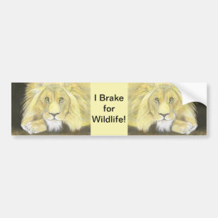 Lion Bumpersticker