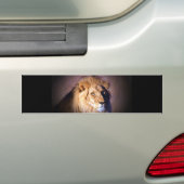 Lion Bumpersticker (Op auto)