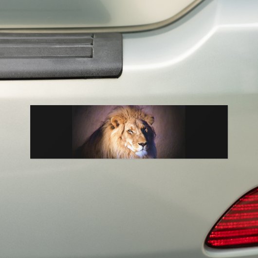 Lion Bumpersticker (Op auto)