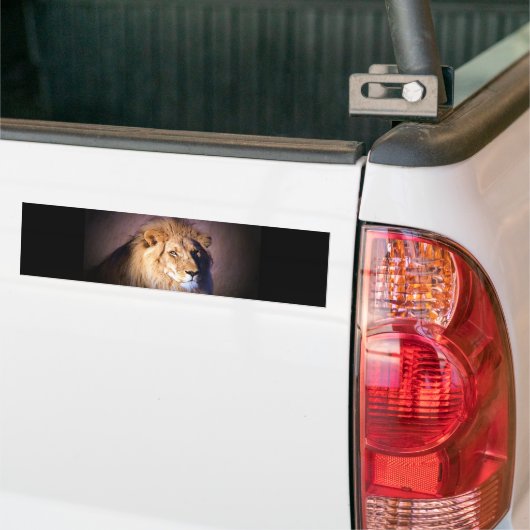 Lion Bumpersticker (Op Truck)