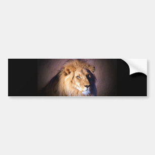 Lion Bumpersticker