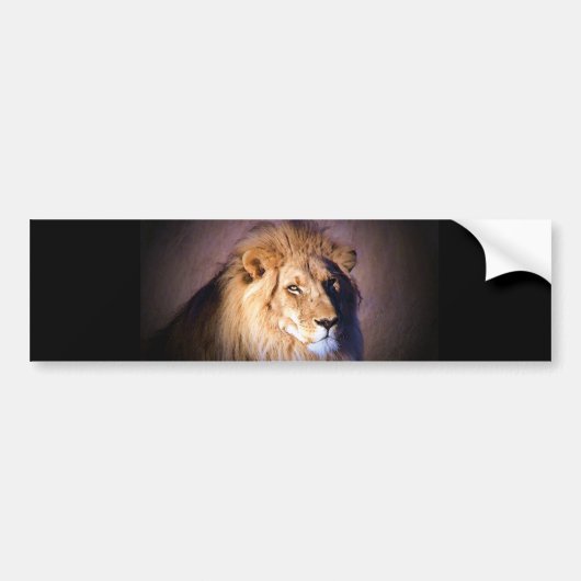 Lion Bumpersticker (Voorkant)