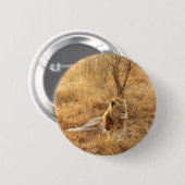 Lion Button (Voorkant /achterkant)