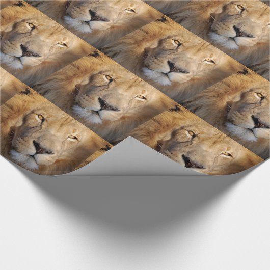 Lion Cadeaupapier (Hoek)